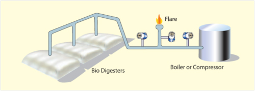 Fox Thermal Biogas Applications