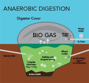 Fox Thermal Digester Gas Applications